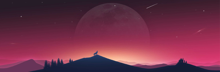 Bedřich Cover Image